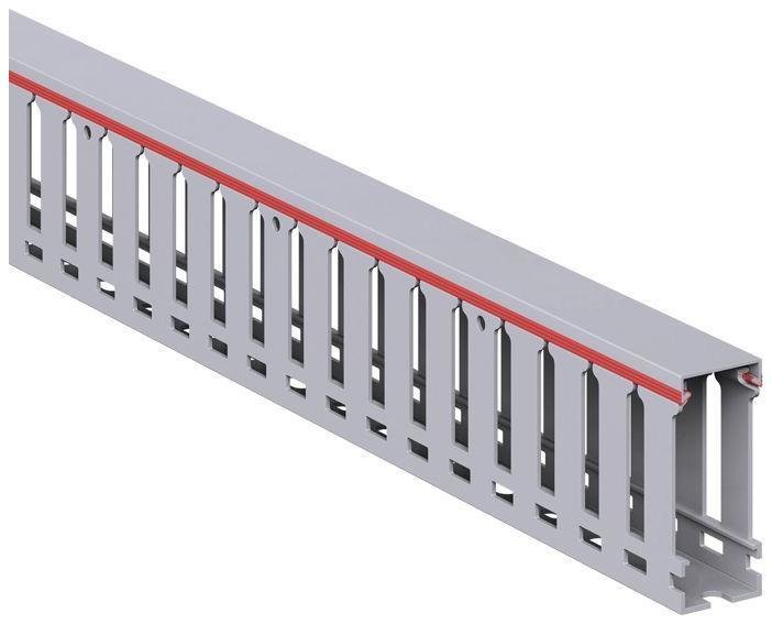 DKC 00136RL Короб перфорированный серый RL12 25х60 [в упаковке 2, цена за 1 м]
