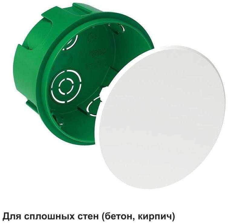 Миниатюра 6