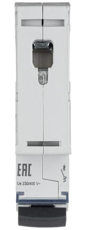 Миниатюра 6