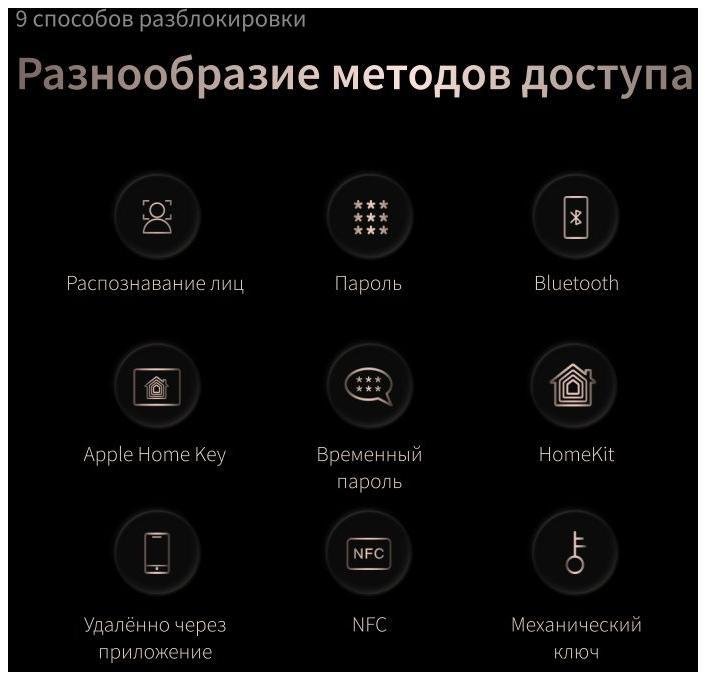 Миниатюра 8